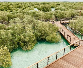 Mangrove National Park